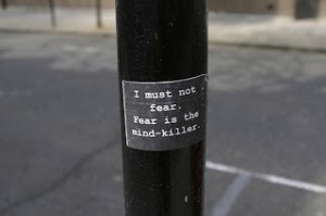 fear is the mindkiller